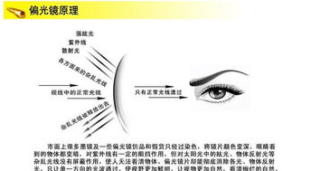 時(shí)尚與運(yùn)動(dòng)的完美結(jié)合 特別推薦GD100太陽眼鏡套裝